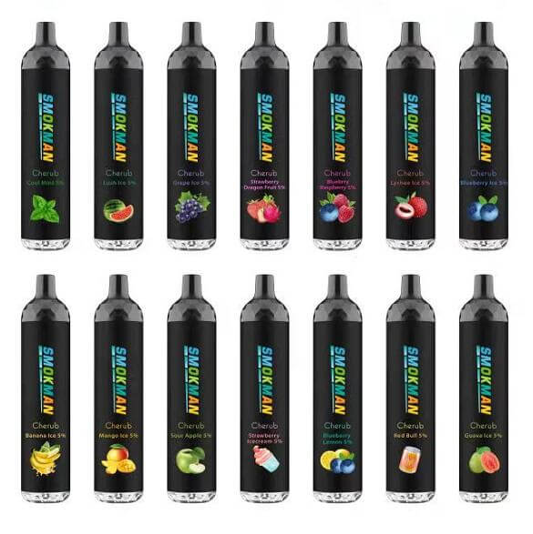 Wholesale 14 Flavors Disposable E-Cigarette Fruit Vape